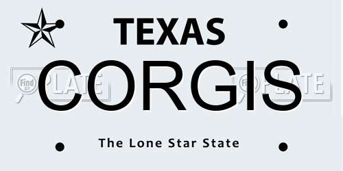 CORGIS Texas License Plate