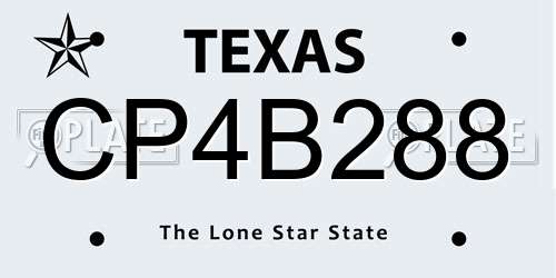CP4B288 Texas License Plate
