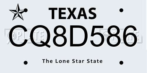 CQ8D586 Texas License Plate