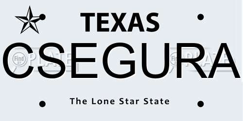 CSEGURA Texas License Plate