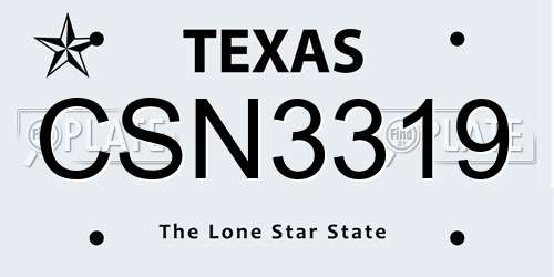 CSN3319 Texas License Plate
