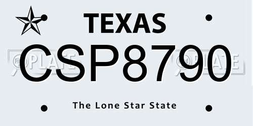 CSP8790 Texas License Plate