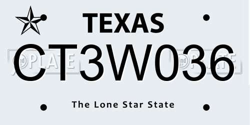 CT3W036 Texas License Plate