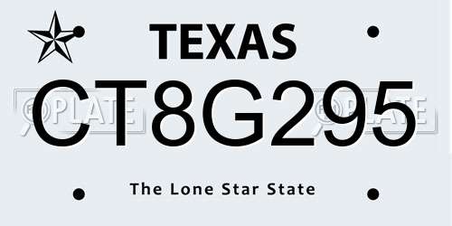 CT8G295 Texas License Plate