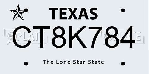 CT8K784 Texas License Plate