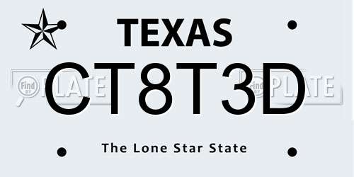 CT8T3D Texas License Plate