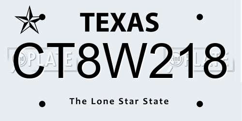 CT8W218 Texas License Plate