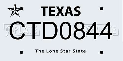 CTD0844 Texas License Plate