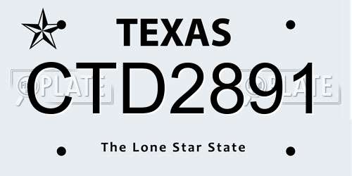 CTD2891 Texas License Plate