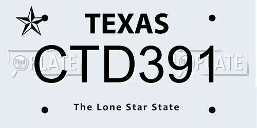 CTD391 Texas License Plate