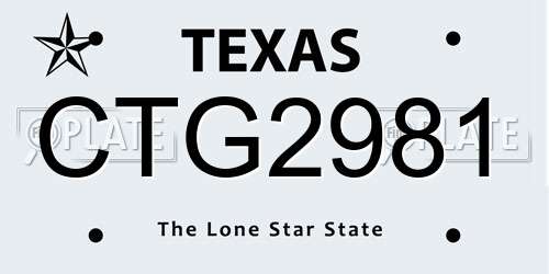CTG2981 Texas License Plate