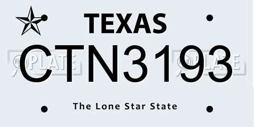 CTN3193 Texas License Plate