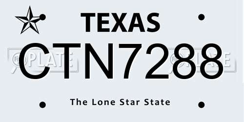 CTN7288 Texas License Plate