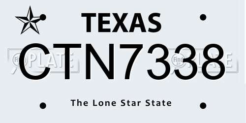 CTN7338 Texas License Plate