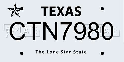 CTN7980 Texas License Plate