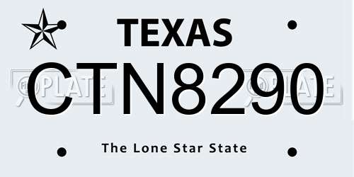 CTN8290 Texas License Plate