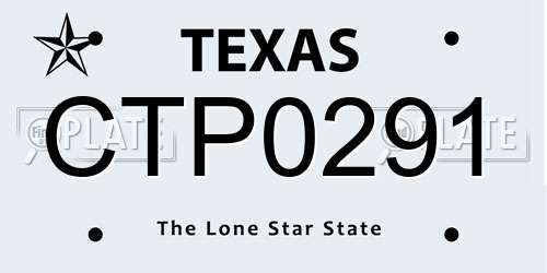 CTP0291 Texas License Plate