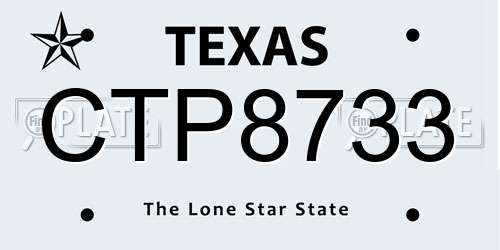 CTP8733 Texas License Plate