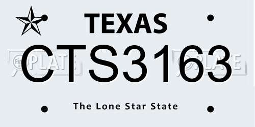 CTS3163 Texas License Plate