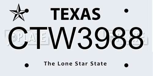 CTW3988 Texas License Plate