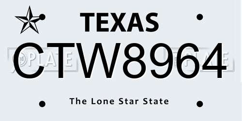 CTW8964 Texas License Plate