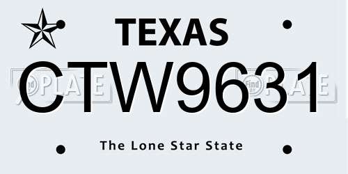 CTW9631 Texas License Plate