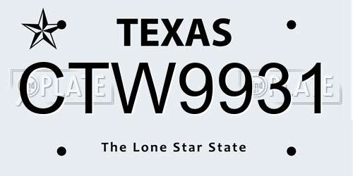 CTW9931 Texas License Plate