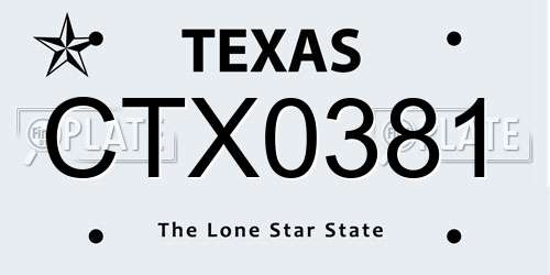 CTX0381 Texas License Plate