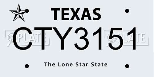 CTY3151 Texas License Plate