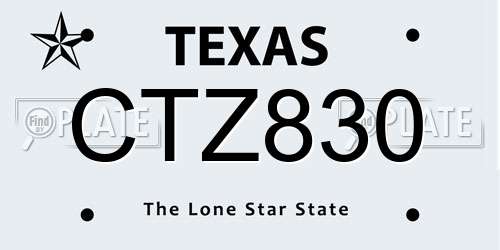 CTZ830 Texas License Plate