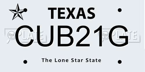 CUB21G Texas License Plate