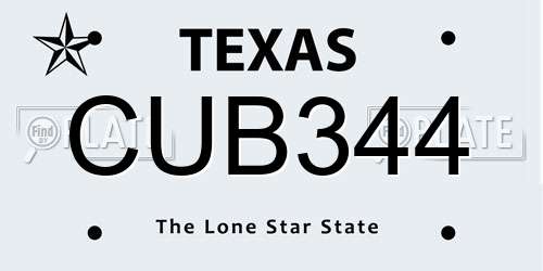 CUB344 Texas License Plate
