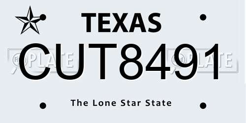 CUT8491 Texas License Plate