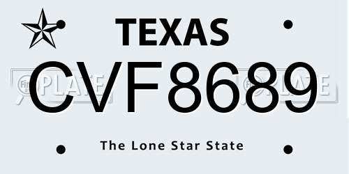 CVF8689 Texas License Plate