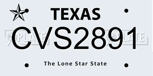 CVS2891 Texas License Plate