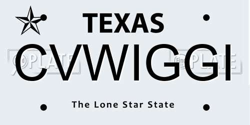 CVWIGGI Texas License Plate