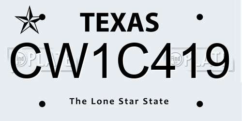 CW1C419 Texas License Plate