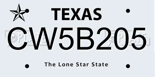 CW5B205 Texas License Plate