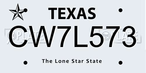 CW7L573 Texas License Plate