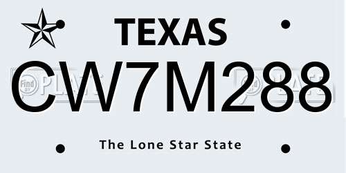 CW7M288 Texas License Plate