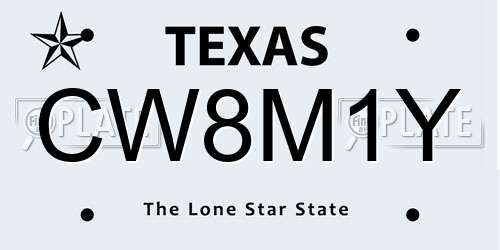 CW8M1Y Texas License Plate
