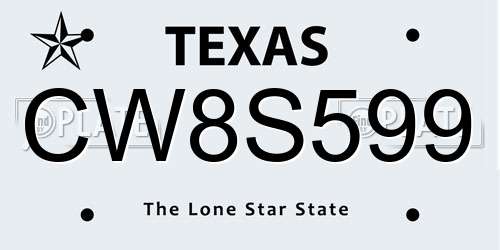 CW8S599 Texas License Plate