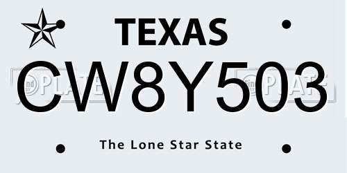 CW8Y503 Texas License Plate