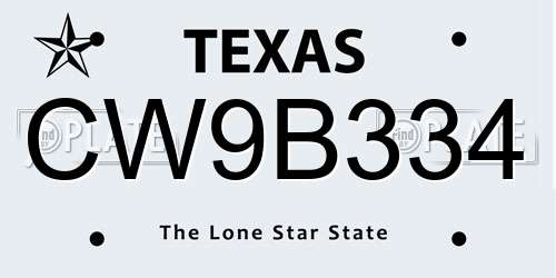 CW9B334 Texas License Plate