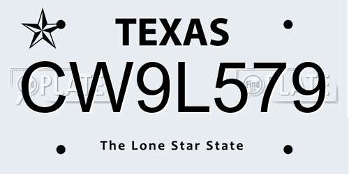 CW9L579 Texas License Plate