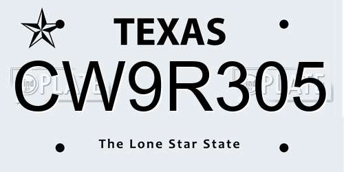 CW9R305 Texas License Plate