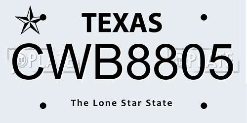 CWB8805 Texas License Plate
