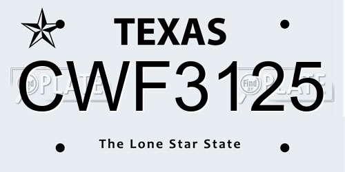 CWF3125 Texas License Plate