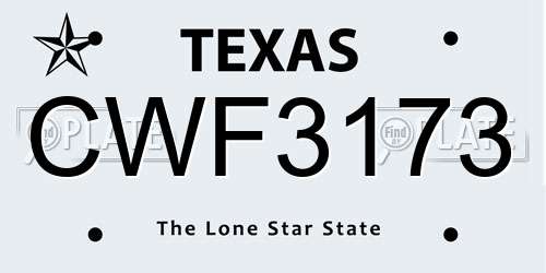CWF3173 Texas License Plate