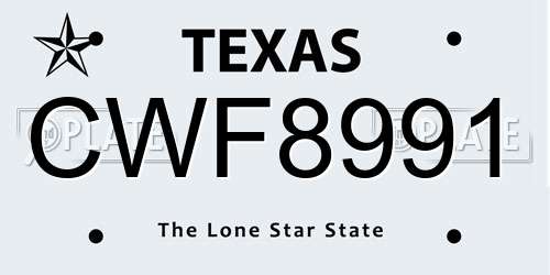 CWF8991 Texas License Plate